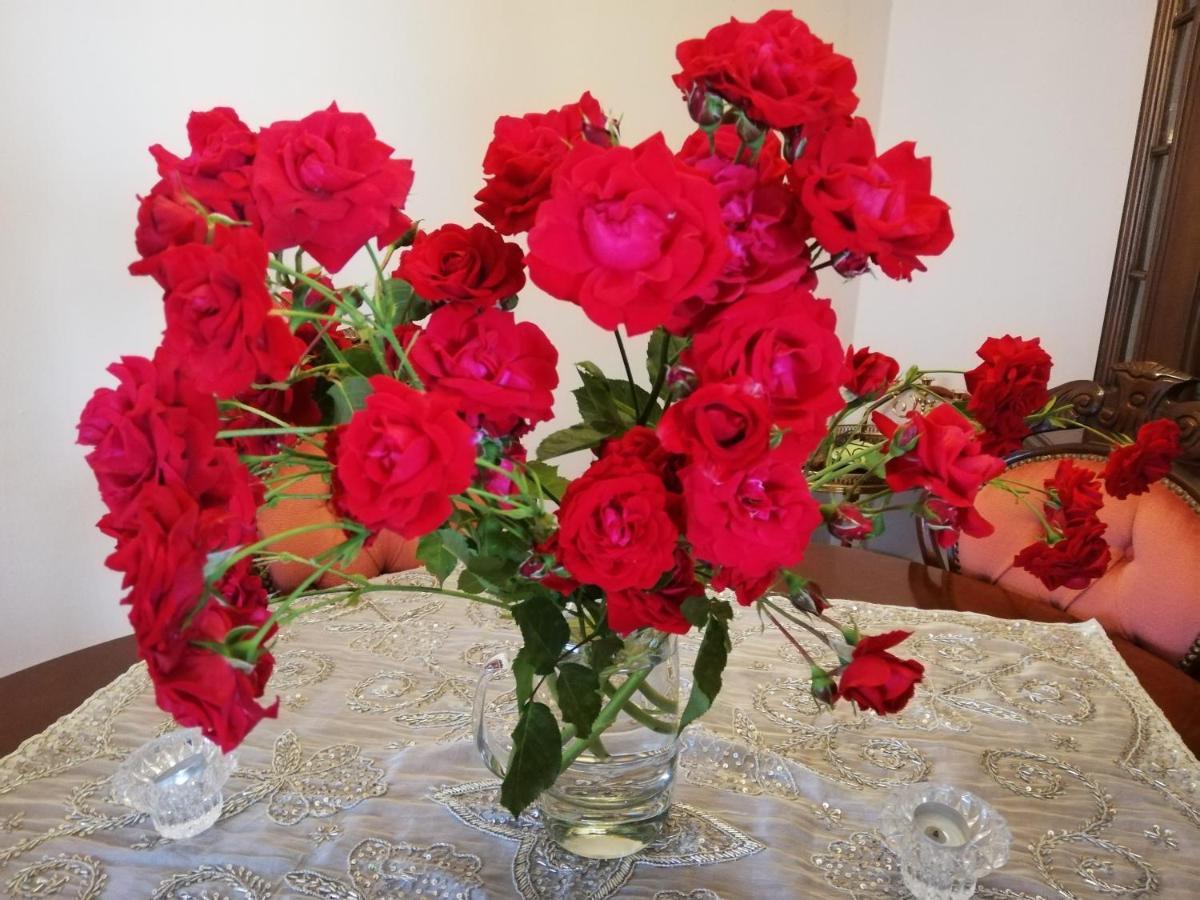 즈바이브루켄 Rosen Und Rosse 아파트 외부 사진